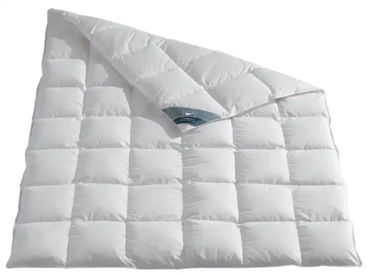 Bild 4 von HÄUSSLING Daunen-Kassettenbettdecke medium