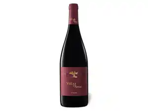 Viñas de Paniza Syrah Cariñena DOP trocken, Rotwein 2020