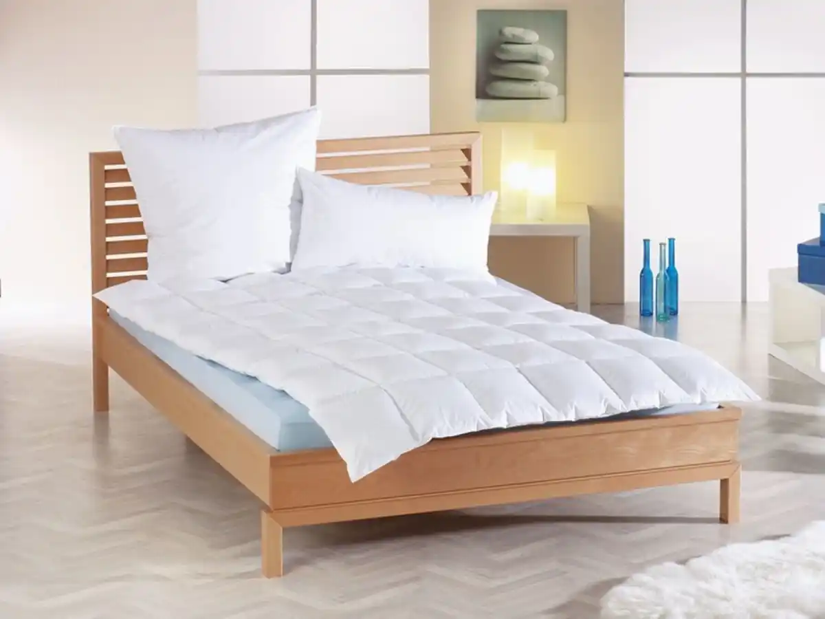 Bild 1 von HÄUSSLING Daunen-Kassettenbettdecke medium