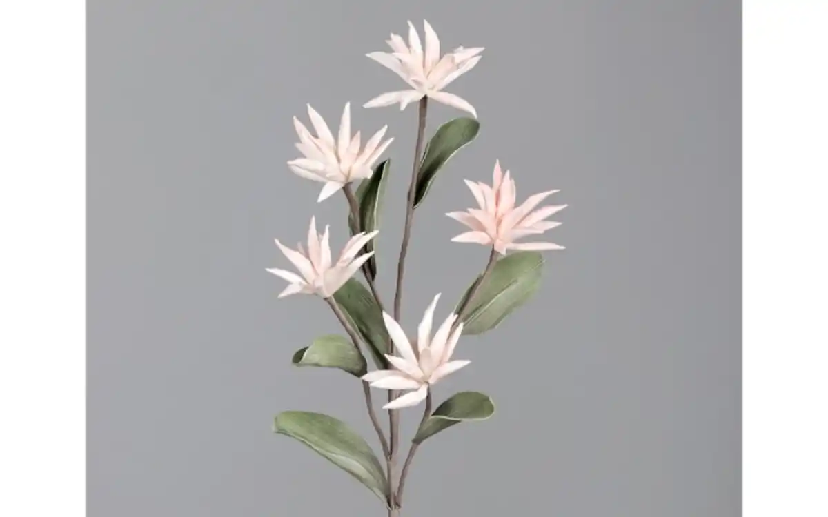 Bild 2 von Foam Kapern mit 5 Blüten, rose, 100 cm