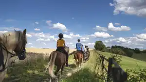 Erlebnis pur - Reiten & Erholen in dem Familienhotel Reiterhof Runding