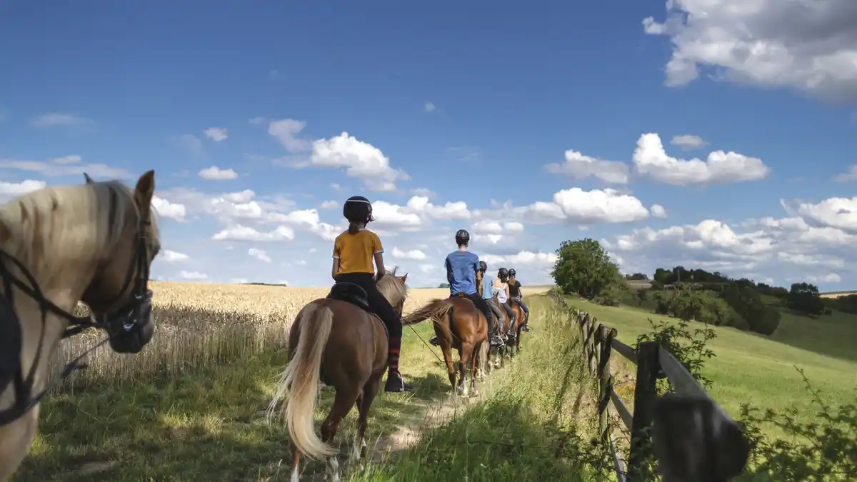 Bild 1 von Erlebnis pur - Reiten & Erholen in dem Familienhotel Reiterhof Runding