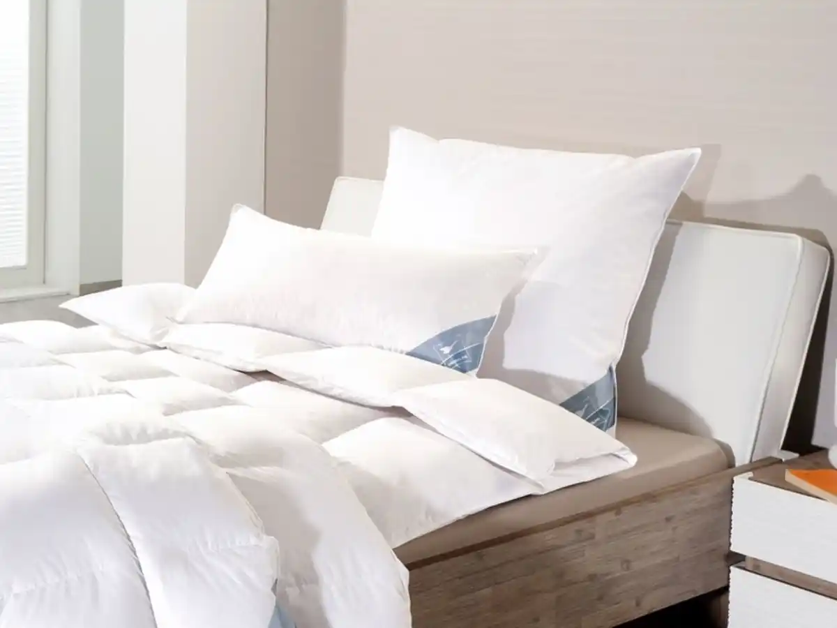 Bild 1 von HÄUSSLING HÄUSSLING Premium Kopfkissen mit Federn und Daunen