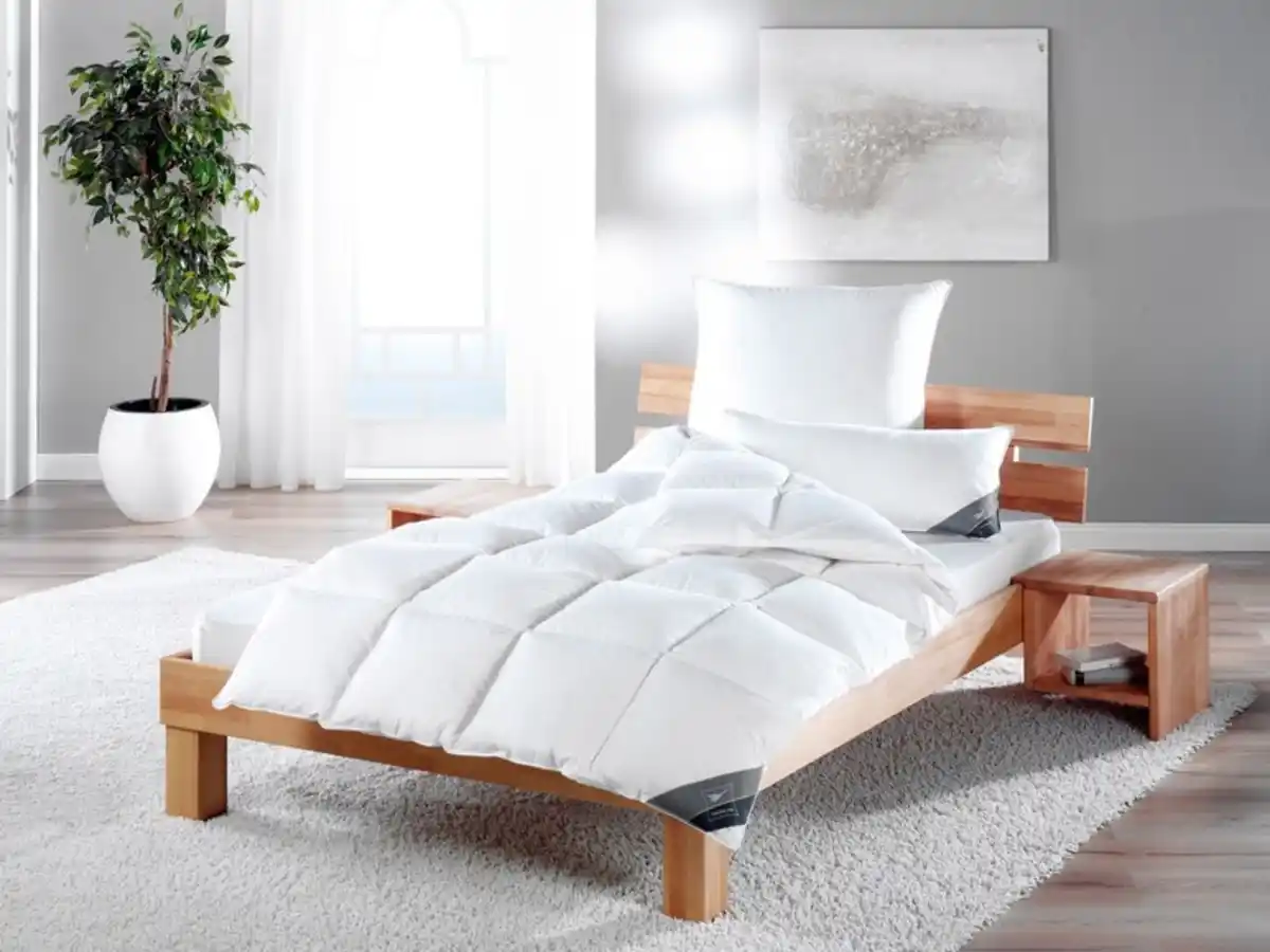 Bild 1 von HÄUSSLING Daunen-Kassettenbettdecke warm