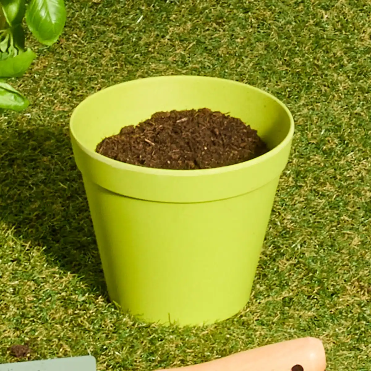 Bild 1 von Übertopf aus Bambus, verschiedene Größen