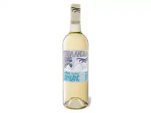Terra Andina Sauvignon Blanc Chile Valle Central trocken, Weißwein 2022