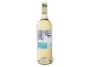 Bild 1 von Terra Andina Sauvignon Blanc Chile Valle Central trocken, Weißwein 2022
