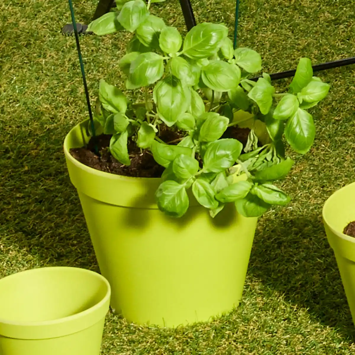 Bild 1 von Übertopf aus Bambus, verschiedene Größen