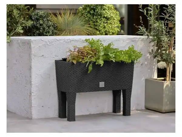 Bild 2 von PARKSIDE® 2-in-1-Hochbeet, in Rattan-Optik, L 60 x B 25 cm