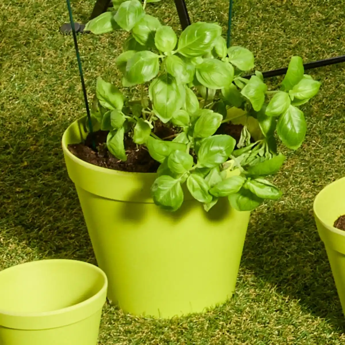 Bild 2 von Übertopf aus Bambus, verschiedene Größen