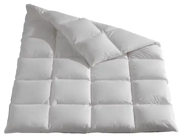 Bild 2 von HÄUSSLING Daunen-Kassettenbettdecke warm