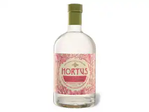 Hortus Rhabarber & Ingwer Gin Likör 20% Vol