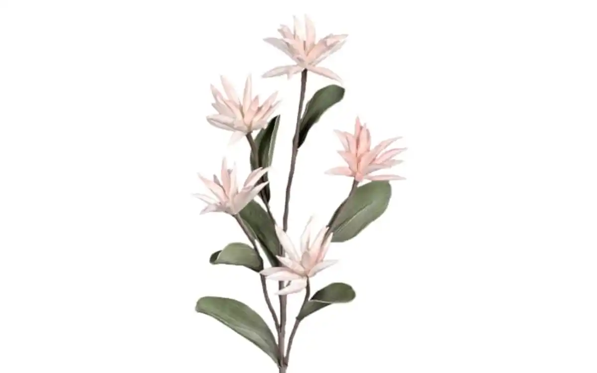 Bild 1 von Foam Kapern mit 5 Blüten, rose, 100 cm