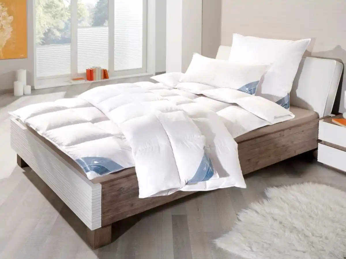 Bild 3 von HÄUSSLING HÄUSSLING Premium Kopfkissen mit Federn und Daunen