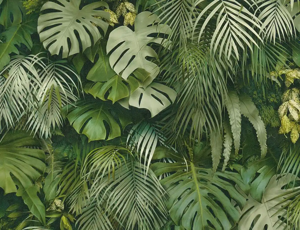 Bild 1 von Vliestapete Blätter Grün