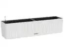 Bild 1 von LECHUZA® Kunststoff-Kasten Balconera Cottage, rechteckig