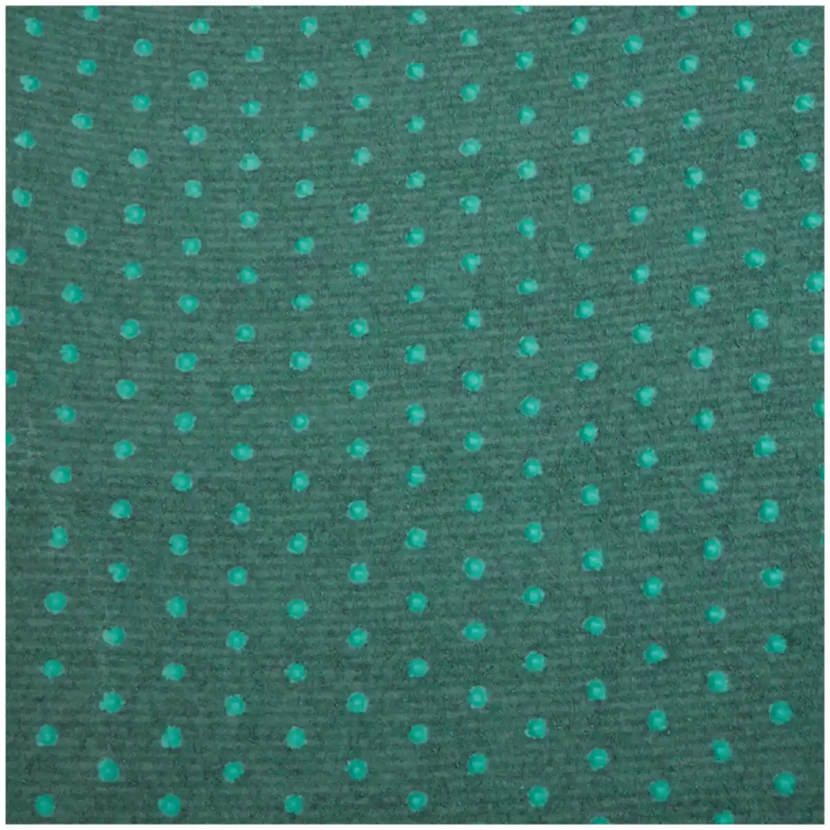 Bild 2 von Rasenteppich