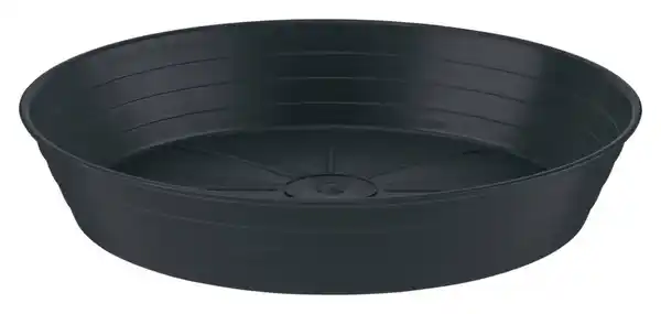 Bild 3 von PARKSIDE® Pflanztopfuntersetzer 20 cm
