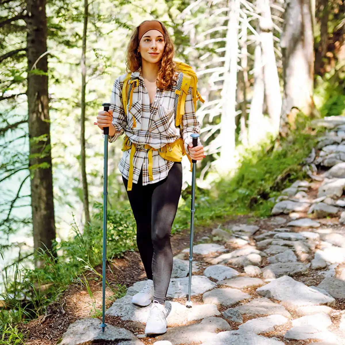 Bild 3 von Topfit Ultraleichte Nordic Walking Stöcke