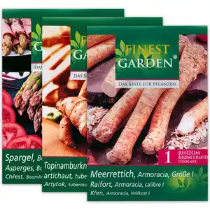 Finest Garden Zwiebeln für den Gemüsegarten