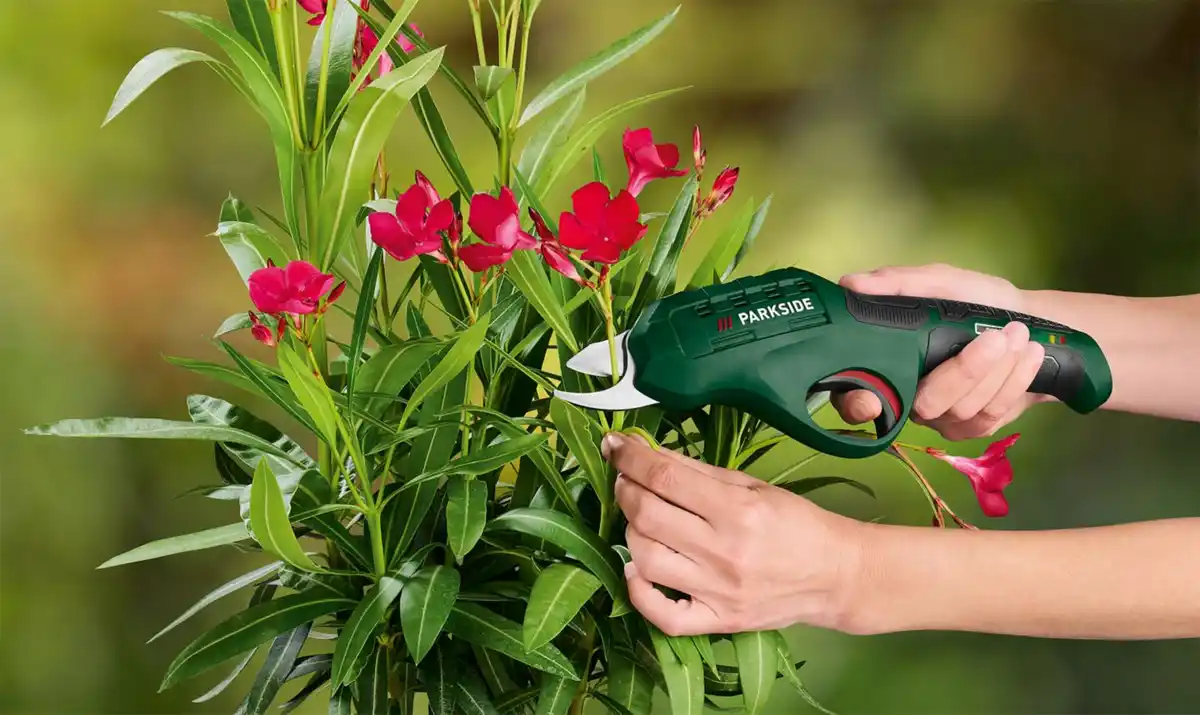 Bild 2 von PARKSIDE® Akku-Gartenschere 4 V »PAAS 4 A1«