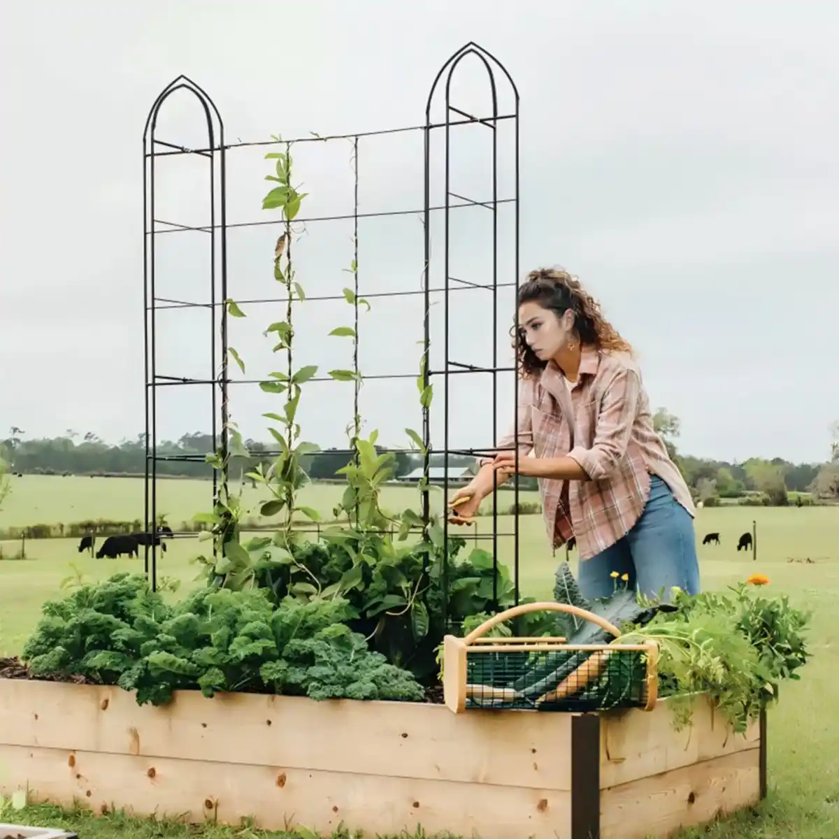 Bild 2 von Rankgitter für Kletterpflanzen, ca. 160 x 190 cm - Schwarz