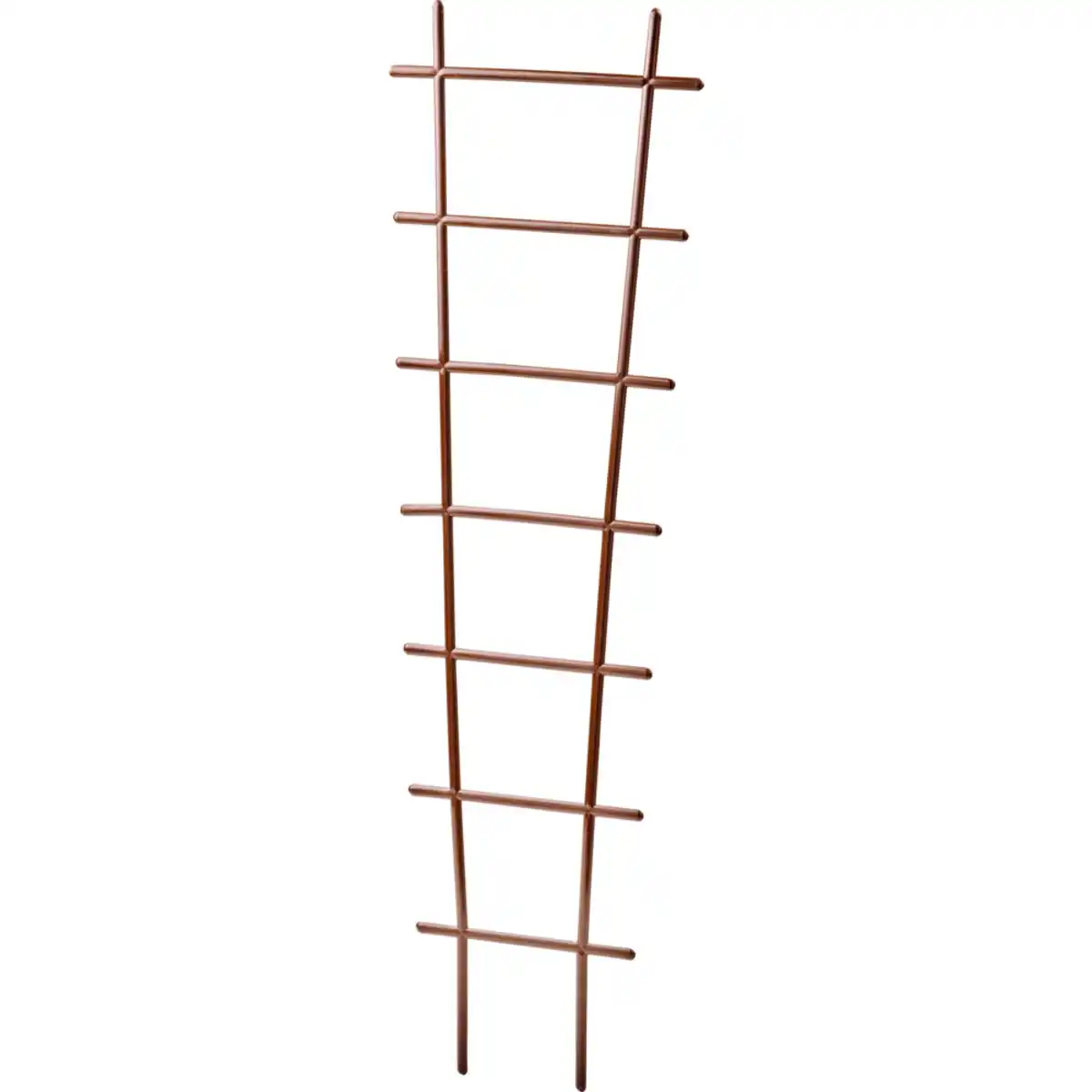 Bild 1 von Prosperplast Rankhilfe 20 x 67 cm Braun