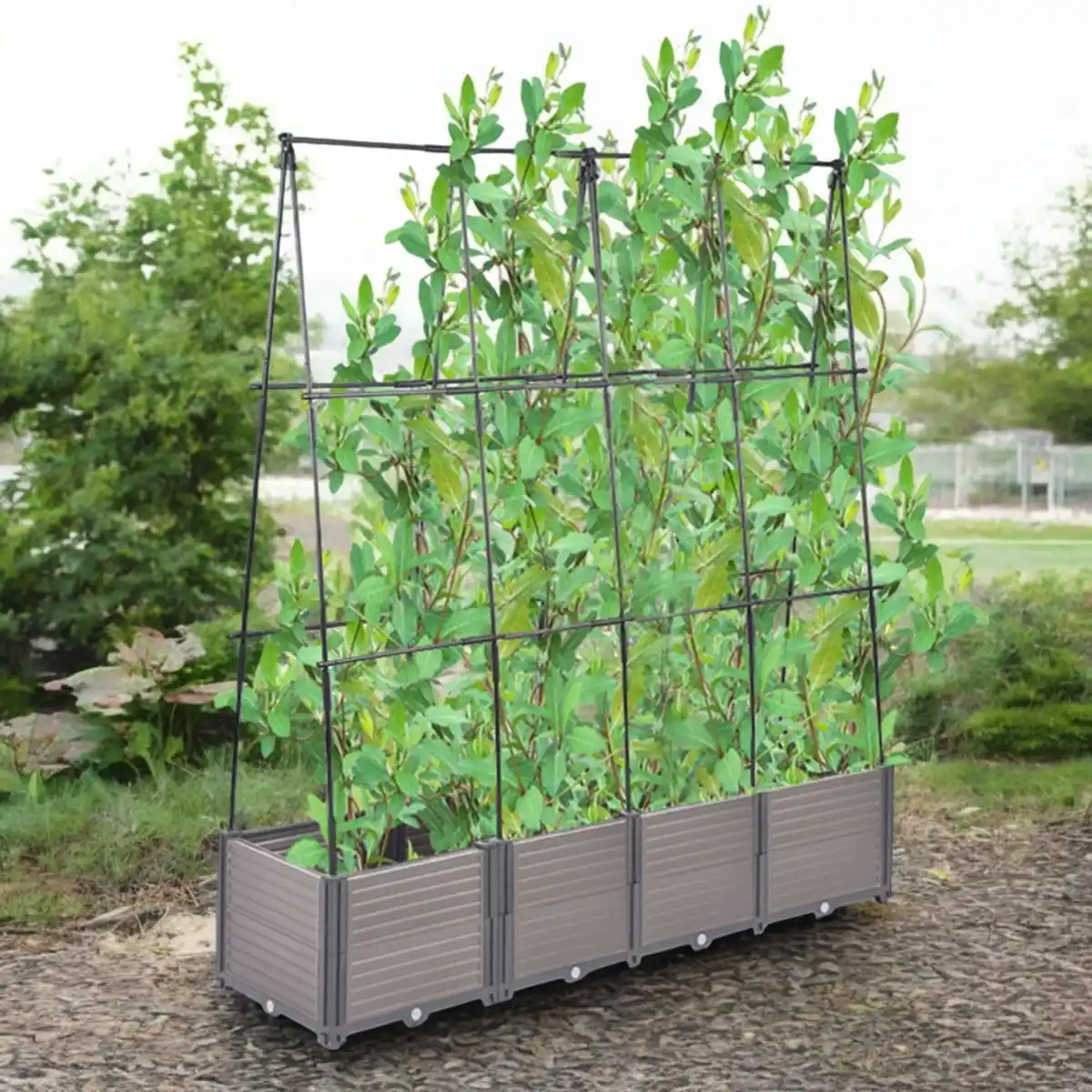 Bild 3 von Pflanzkasten mit Rankhilfe Eckig, ca. 168 x 42 x 180 cm - Grau/Schwarz