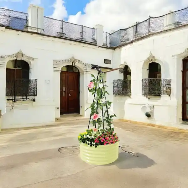 Bild 3 von Rankhilfe aus Metall für Blumen, ca. ¿ 60 x 30 cm - Weiß