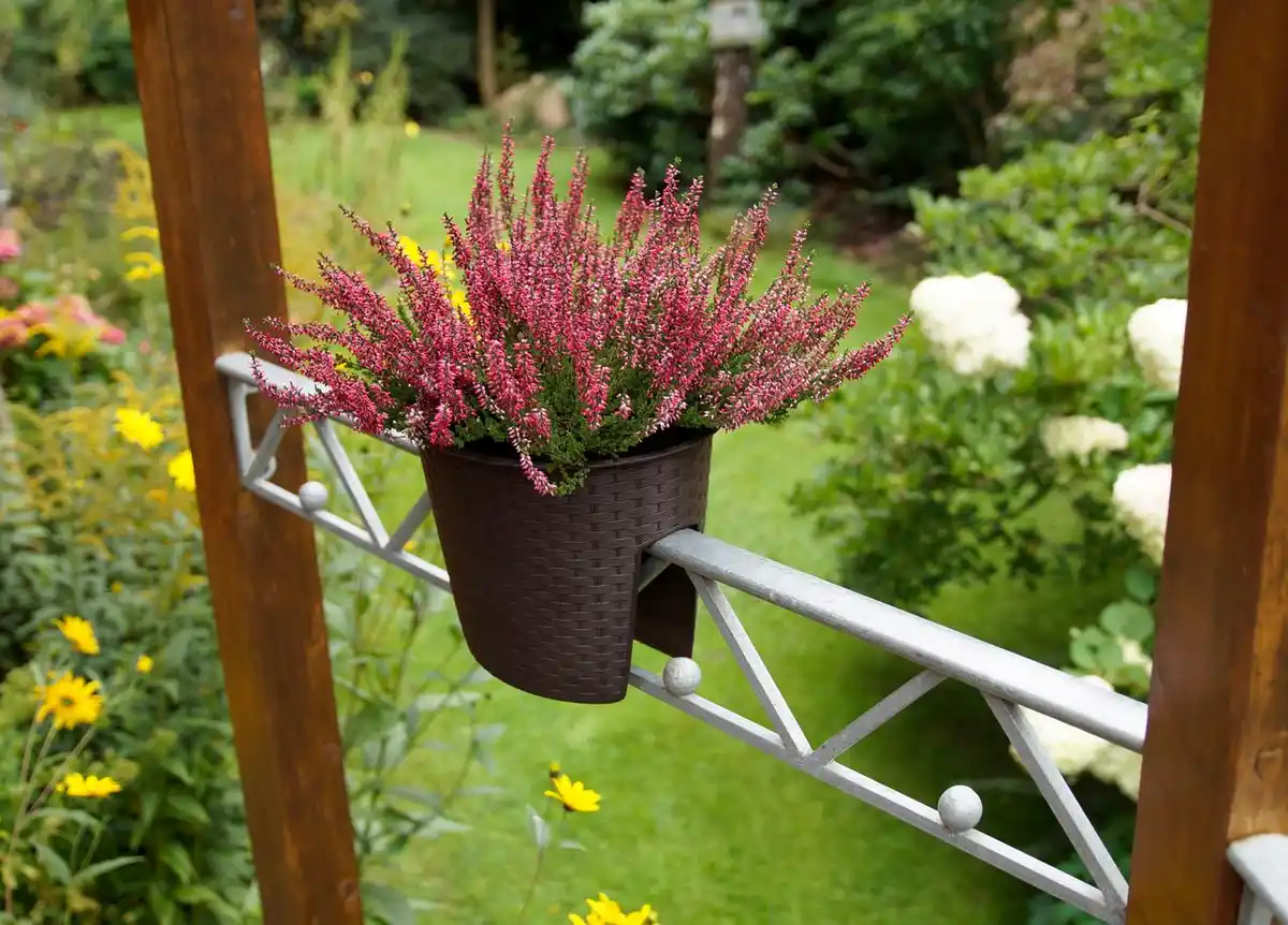 Bild 1 von Geländer Pflanztopf - Braun