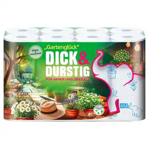 DICK & DURSTIG Haushaltstücher