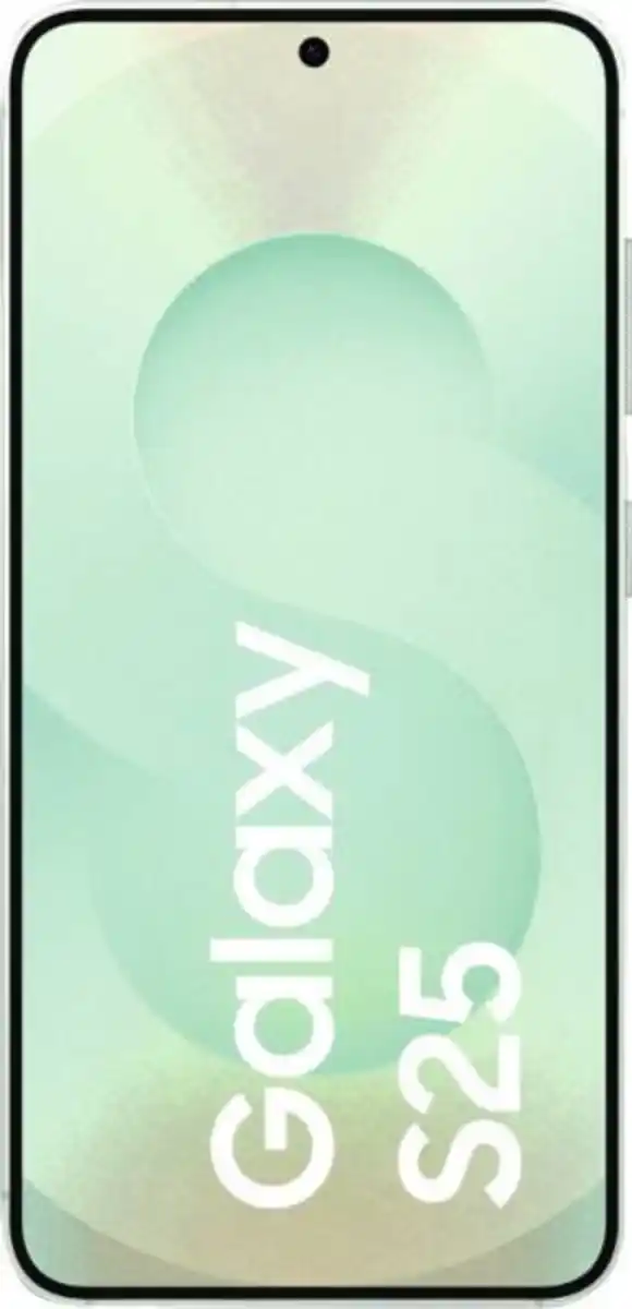 Bild 1 von Samsung Galaxy S25 S931B 128GB