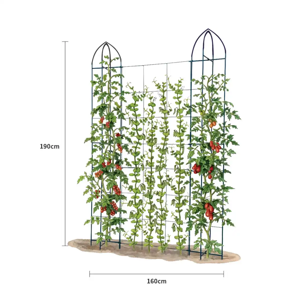 Bild 3 von Rankgitter für Kletterpflanzen, ca. 160 x 190 cm - Schwarz