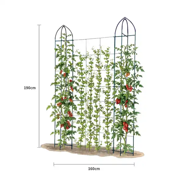 Bild 3 von Rankgitter für Kletterpflanzen, ca. 160 x 190 cm - Schwarz