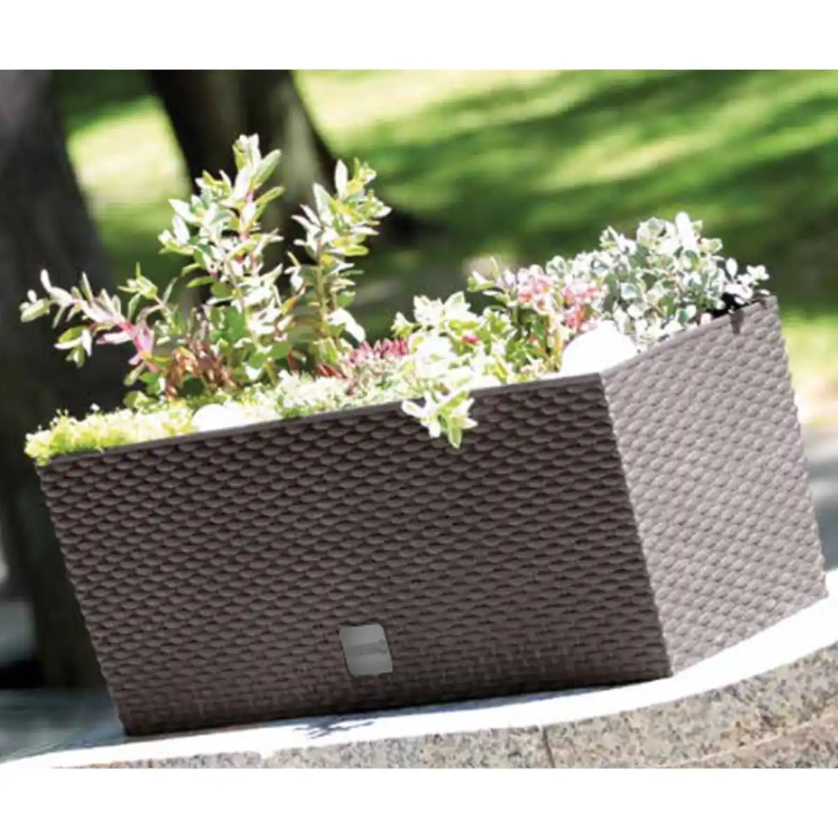 Bild 3 von Design-Pflanzkasten 2in1 in Rattanoptik, 30L, dunkelbraun 2er Set