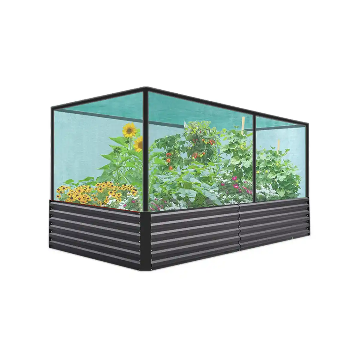 Bild 1 von Hochfrühbeet mit Insektenschutz, ca. 180 x 90 x 30 cm - Schwarz