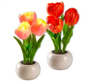 LED-Tulpen im Topf*