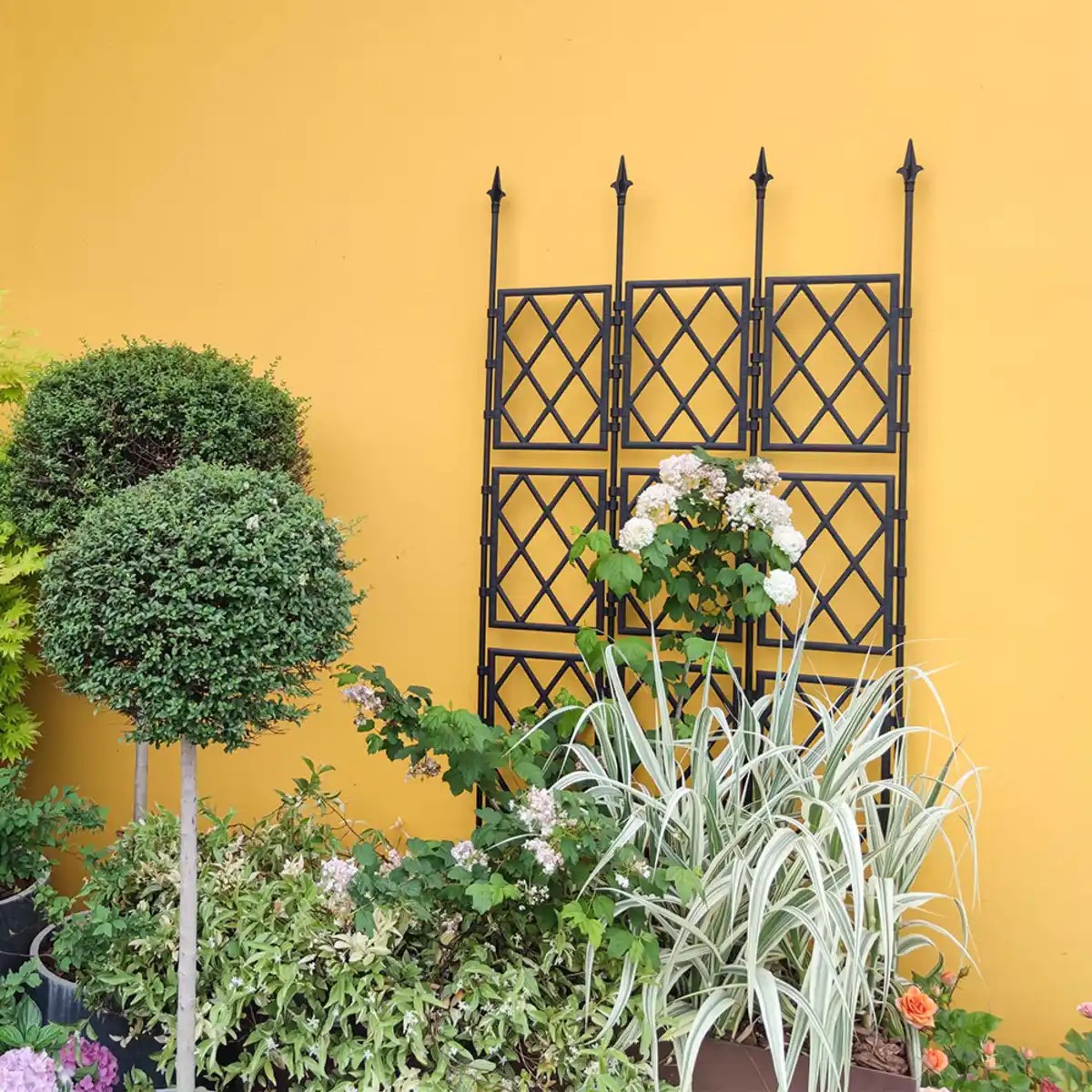 Bild 2 von Gerade Rankhilfe, ca. 85 x 190 cm - Schwarz