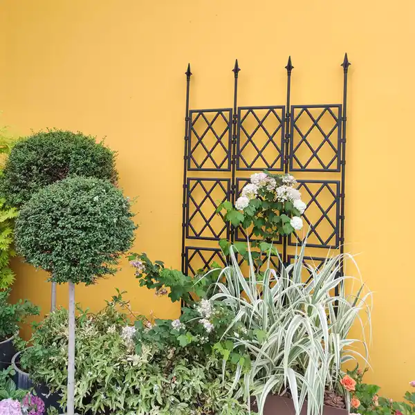 Bild 2 von Gerade Rankhilfe, ca. 85 x 190 cm - Schwarz