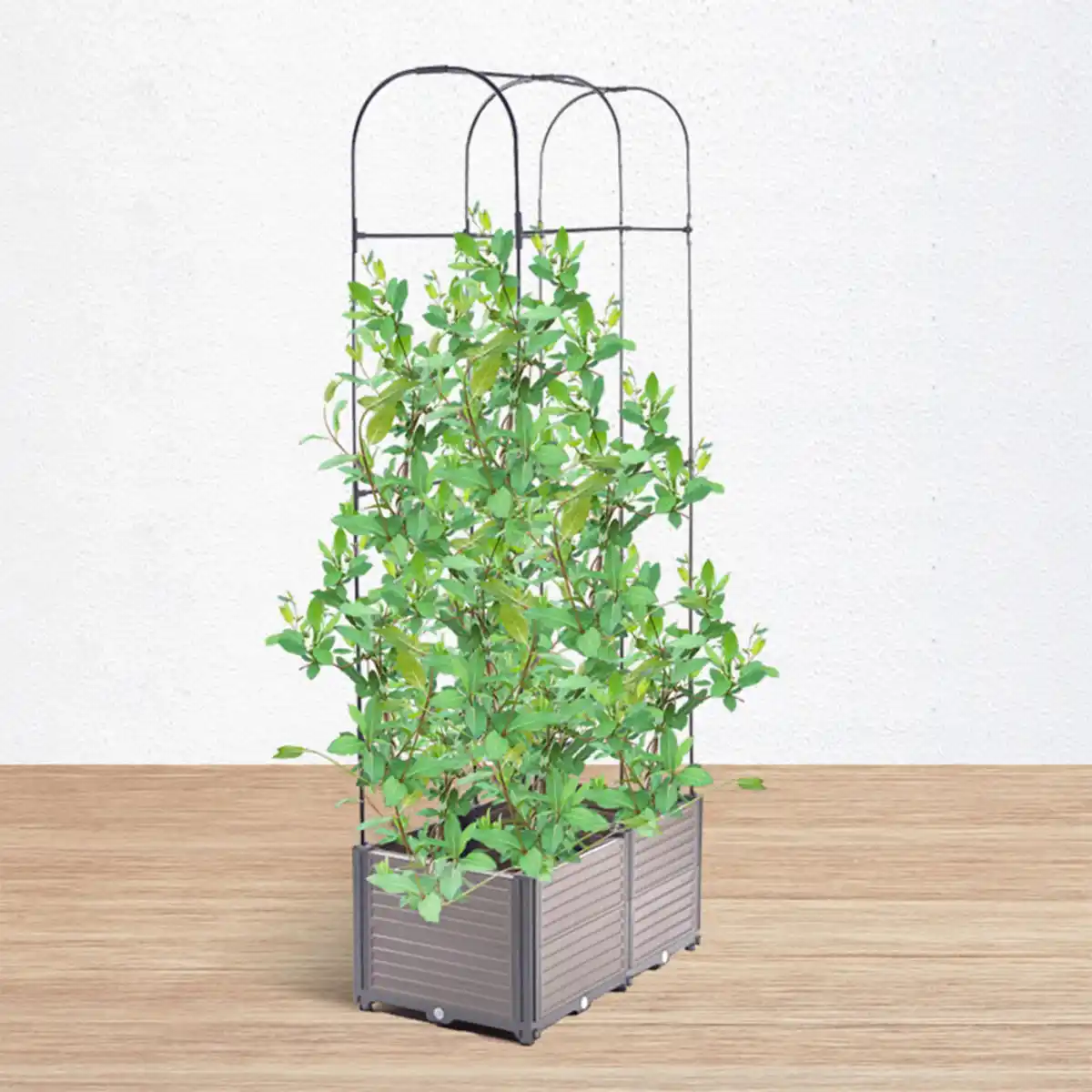 Bild 2 von Pflanzkasten mit Rankhilfe Abgerundet, ca. 84 x 42 x 180 cm - Grau/Schwarz