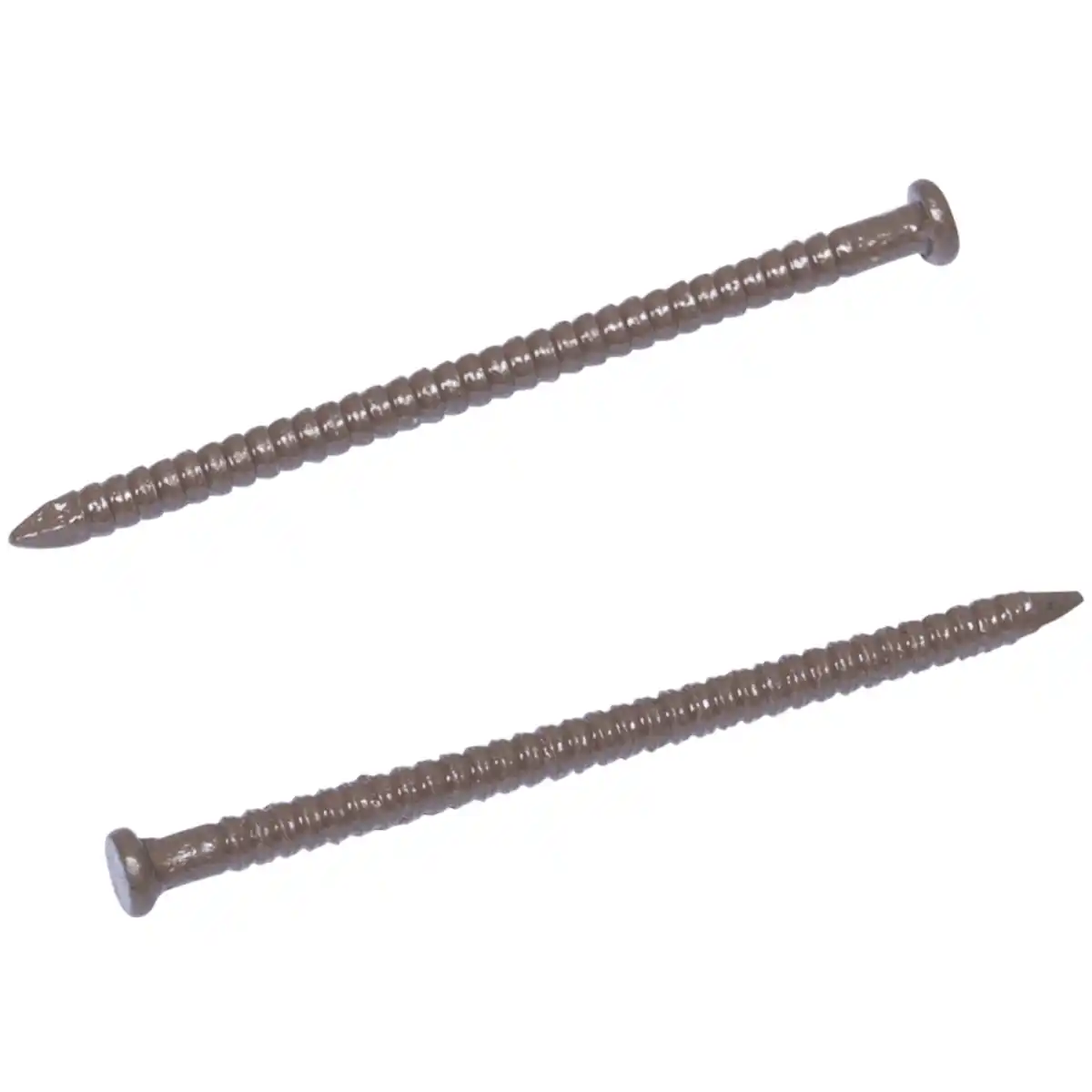 Bild 1 von FISHBULL Paneelstifte 1,6 x 32 mm in Dunkelbraun