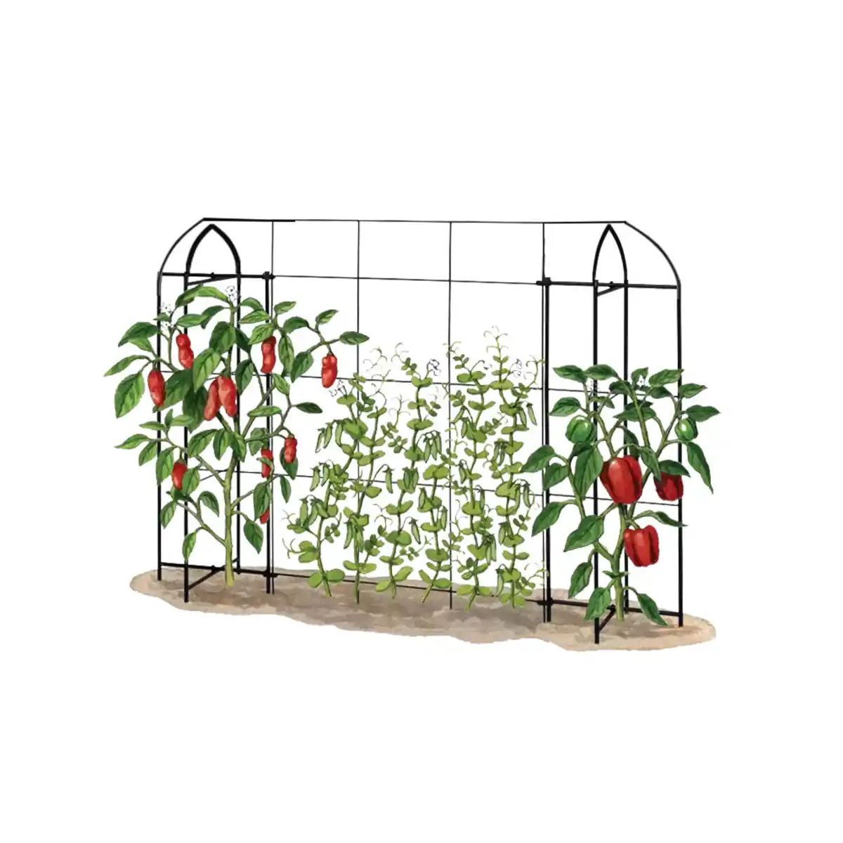 Bild 1 von Rankgitter für Kletterpflanzen, ca. 160 x 115 cm - Schwarz