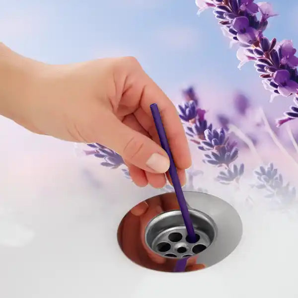 Bild 3 von Abfluss-Sticks 50er-Pack - Lavendelduft