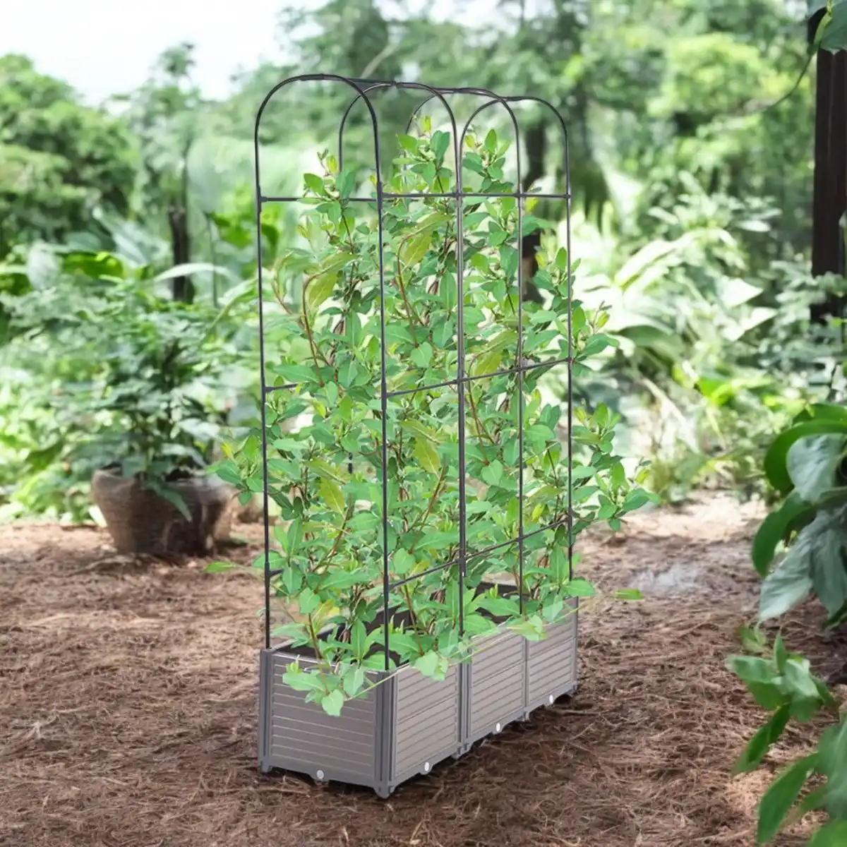 Bild 3 von Pflanzkasten mit Rankhilfe Abgerundet, ca. 126 x 42 x 180 cm - Grau/Schwarz