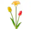 Bild 1 von Tulpe oder Narzisse*