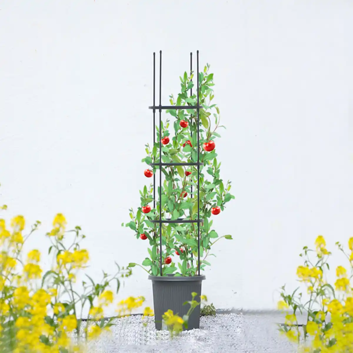 Bild 3 von Tomatenturm - ca. 20.3 Liter, Ø ca. 28 cm, Höhe ca. 148 cm, inkl. Rankhilfe