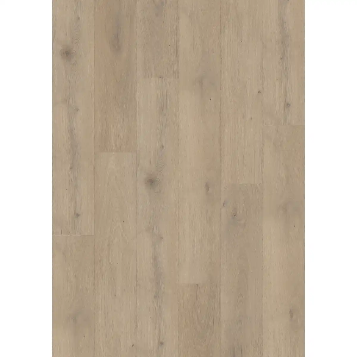 Bild 1 von Vinylboden Eiche Aprilia 3,5 mm