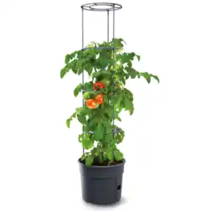 Pflanzkübel Tomatenturm, 28l