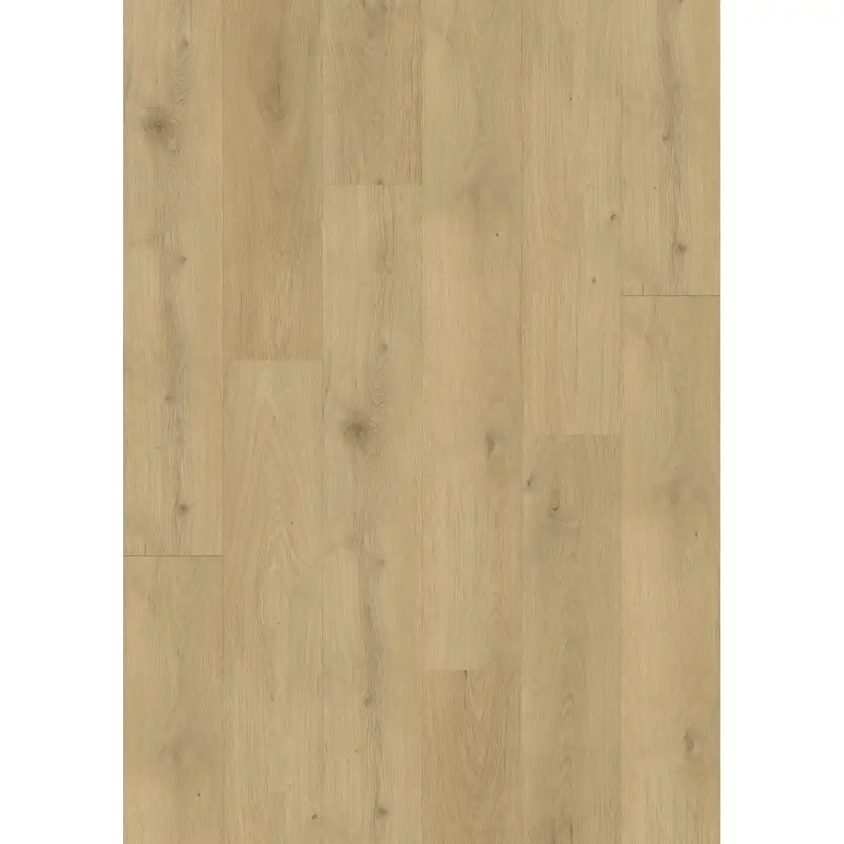Bild 1 von Vinylboden Eiche Terni 3,5 mm