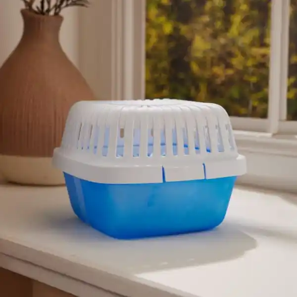 Bild 2 von Raumentfeuchter-Set Mini